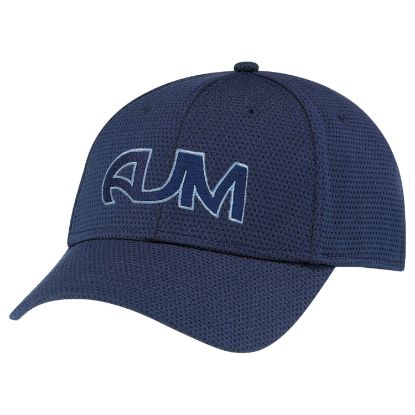 Picture of AJM - AC0012 - Deluxe Polyester Fused Mesh Cap