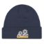 Picture of AJM - 1J530M - Acrylic / Polyester Micro Fleece Toque