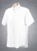 Picture of Forsyth - C102A - Ladies Short Sleeve Classic Oxford Dress Shirt