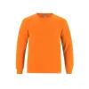 Picture of CSW 24/7 - Breeze - Youth Cotton Long Sleeve Crewneck T-Shirt