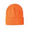 Picture of H08002 - Blaze - Knit Cuff Toque (INTENSE COLORS)