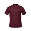 Picture of S05670 - HORIZON - Vintage Wash Cotton Crewneck T-Shirt