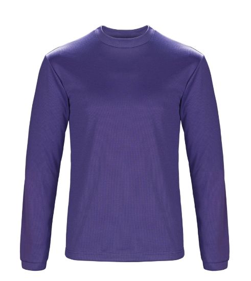 Picture of TS164 Custom Men's Performance Long Sleeve T-Shirt