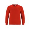 Picture of CSW 24/7 - Breeze - Youth Cotton Long Sleeve Crewneck T-Shirt