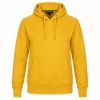 Picture of CX2 - Palm Aire - Women's Pull Over Hoodie
