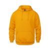Picture of CSW 24/7 - Vault - Pullover Hoodie