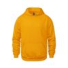 Picture of CSW 24/7 - Vault - Youth Pullover Hoodie