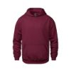 Picture of CSW 24/7 - Vault - Youth Pullover Hoodie