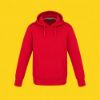 Picture of CX2 - Palm Aire - Pull Over Hoodie