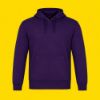 Picture of CX2 - Palm Aire - Pull Over Hoodie