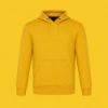 Picture of CX2 - Palm Aire - Pull Over Hoodie