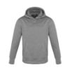 Picture of CX2 - Palm Aire - Youth Pull Over Hoodie
