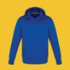 Picture of CX2 - Palm Aire - Youth Pull Over Hoodie