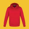 Picture of CX2 - Palm Aire - Youth Pull Over Hoodie