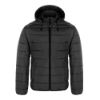 Picture of CX2 - Glacial - Puffy Jacket with Detachable Hood