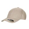 Picture of H08215 - Classic - Cotton Twill Dad Cap