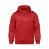 Picture of L00700 - ENDURANCE - Performance Pullover Hooded Sweatshirt