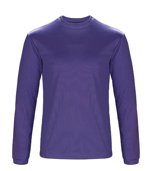 Picture of TS164 Custom Men's Performance Long Sleeve T-Shirt