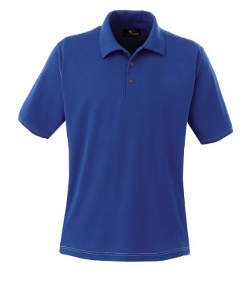 Picture of GS282 Custom Polo shirt with contrast stitching & self collar (ladies')