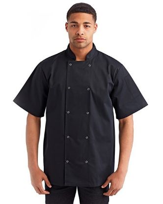 Picture of RP664 - Unisex Ten Studded Front Short Sleeve Chef Coat