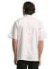 Picture of RP664 - Unisex Ten Studded Front Short Sleeve Chef Coat