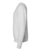 Picture of 3901 - Unisex Sponge Fleece Raglan Crewneck Sweatshirt