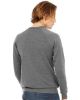 Picture of 3901 - Unisex Sponge Fleece Raglan Crewneck Sweatshirt