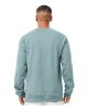 Picture of 3901 - Unisex Sponge Fleece Raglan Crewneck Sweatshirt