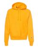 Picture of S101 - Unisex Reverse Weave® Hooded Sweatshirt