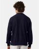 Picture of S149 - Unisex Reverse Weave® Crewneck Sweatshirt