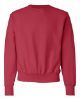 Picture of S149 - Unisex Reverse Weave® Crewneck Sweatshirt