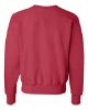 Picture of S149 - Unisex Reverse Weave® Crewneck Sweatshirt