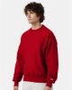 Picture of S149 - Unisex Reverse Weave® Crewneck Sweatshirt