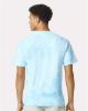 Picture of 1745 - Unisex Colorblast™ Heavyweight T-Shirt