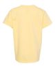 Picture of 9018 - Youth Garment-Dyed Heavyweight T-Shirt