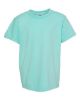 Picture of 9018 - Youth Garment-Dyed Heavyweight T-Shirt
