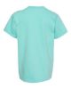Picture of 9018 - Youth Garment-Dyed Heavyweight T-Shirt