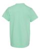 Picture of 9018 - Youth Garment-Dyed Heavyweight T-Shirt