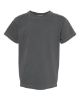 Picture of 9018 - Youth Garment-Dyed Heavyweight T-Shirt