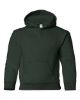 Picture of 18500B - Youth Heavy Blend™ Hooded Sweatshirt