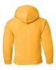 Picture of 18500B - Youth Heavy Blend™ Hooded Sweatshirt