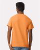 Picture of 2000 - Unisex Ultra Cotton® T-Shirt