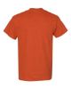 Picture of 5000 - Unisex Heavy Cotton™ T-Shirt