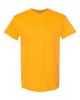 Picture of 5000 - Unisex Heavy Cotton™ T-Shirt
