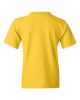 Picture of 5000B - Youth Heavy Cotton™ T-Shirt