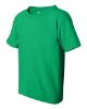 Picture of 5000B - Youth Heavy Cotton™ T-Shirt
