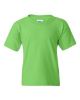 Picture of 5000B - Youth Heavy Cotton™ T-Shirt