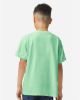 Picture of 5000B - Youth Heavy Cotton™ T-Shirt