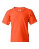 Picture of 5000B - Youth Heavy Cotton™ T-Shirt