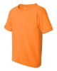 Picture of 5000B - Youth Heavy Cotton™ T-Shirt
